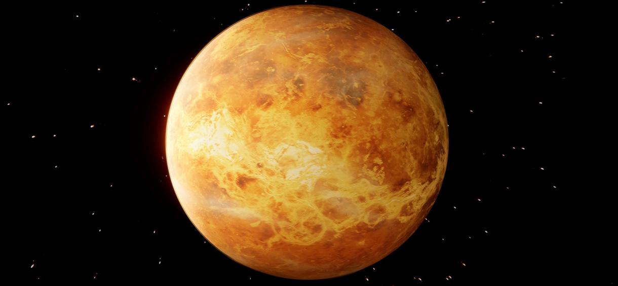 Venus in 1st House How it Defines Your Personality and Life